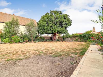 Picture 25